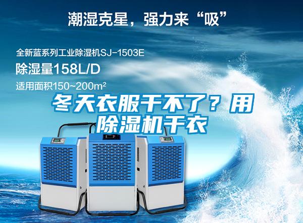 冬天衣服干不了？用草莓视频APP在线观看干衣