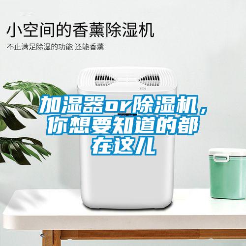 加湿器or草莓视频APP在线观看，你想要知道的都在这儿