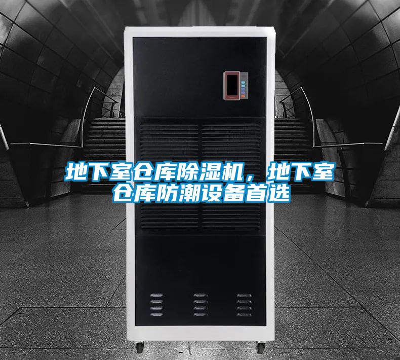 地下室仓库草莓视频APP在线观看，地下室仓库防潮设备首选
