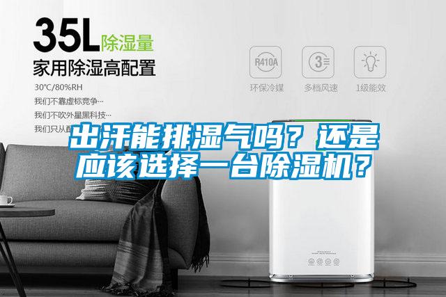 出汗能排湿气吗？还是应该选择一台草莓视频APP在线观看？