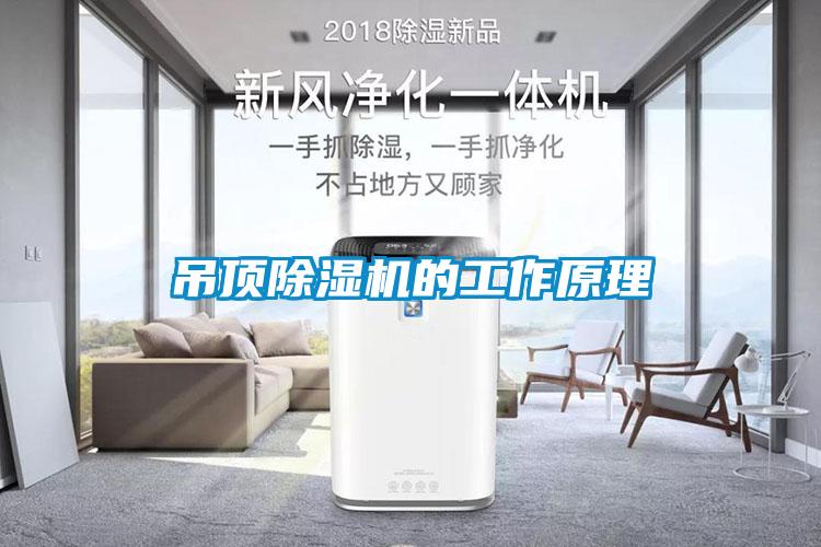吊顶草莓视频APP在线观看的工作原理
