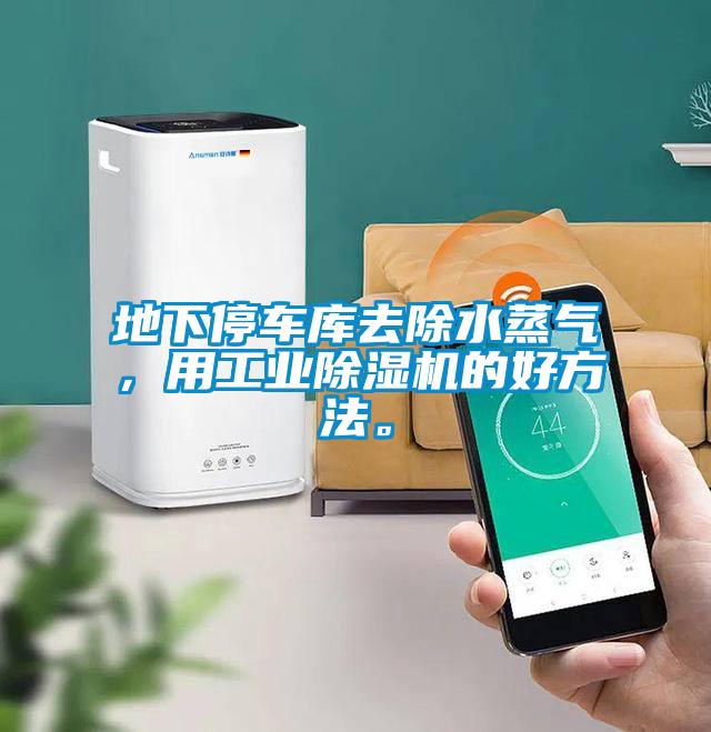 地下停车库去除水蒸气，用工业草莓视频APP在线观看的好方法。