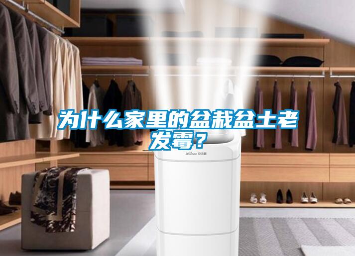 为什么家里的盆栽盆土老发霉？
