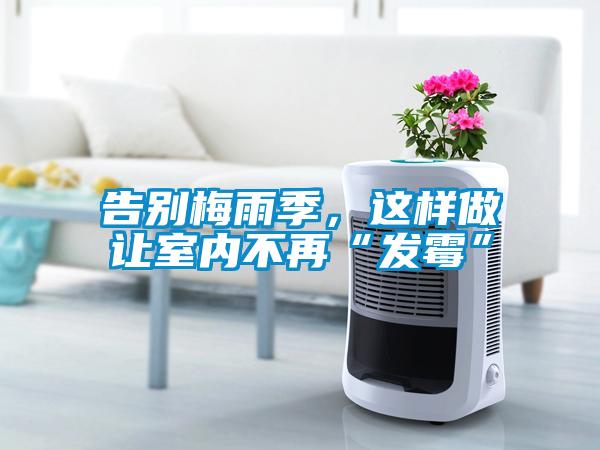 告别梅雨季，这样做让室内不再“发霉”