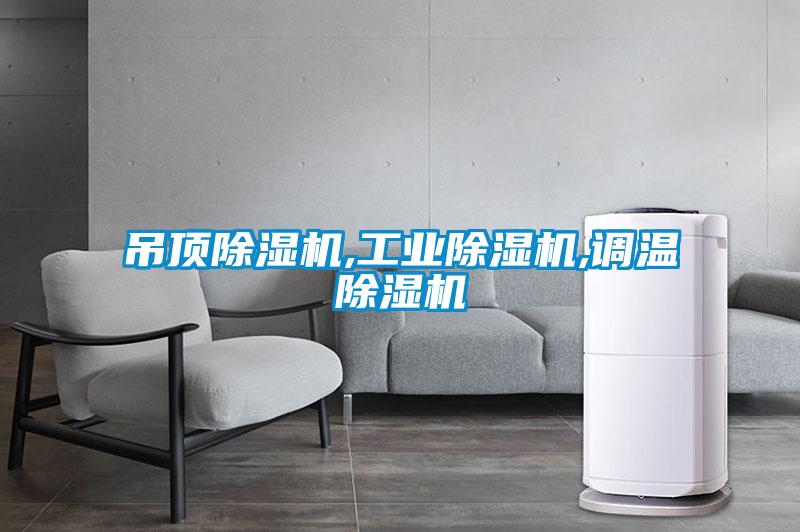 吊顶草莓视频APP在线观看,工业草莓视频APP在线观看,调温草莓视频APP在线观看