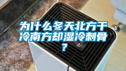 为什么冬天北方干冷南方却湿冷刺骨？