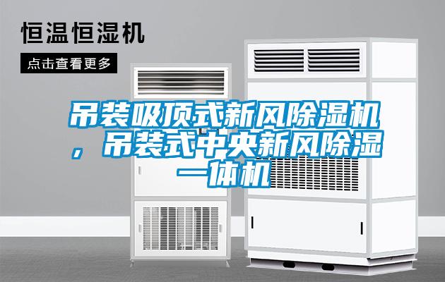 吊装吸顶式新风草莓视频APP在线观看，吊装式中央新风除湿一体机
