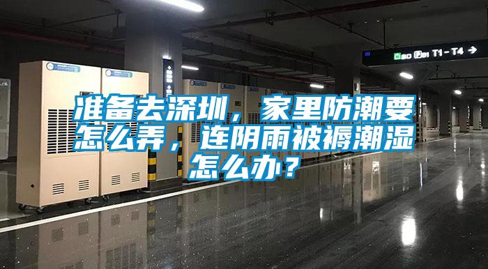 准备去深圳，家里防潮要怎么弄，连阴雨被褥潮湿怎么办？