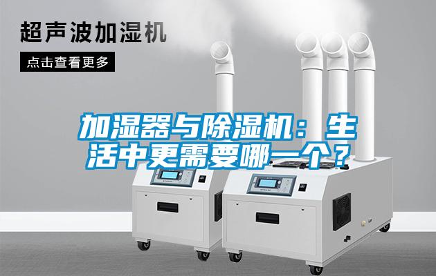加湿器与草莓视频APP在线观看：生活中更需要哪一个？