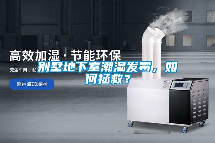 别墅地下室潮湿发霉，如何拯救？