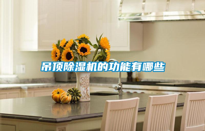 吊顶草莓视频APP在线观看的功能有哪些