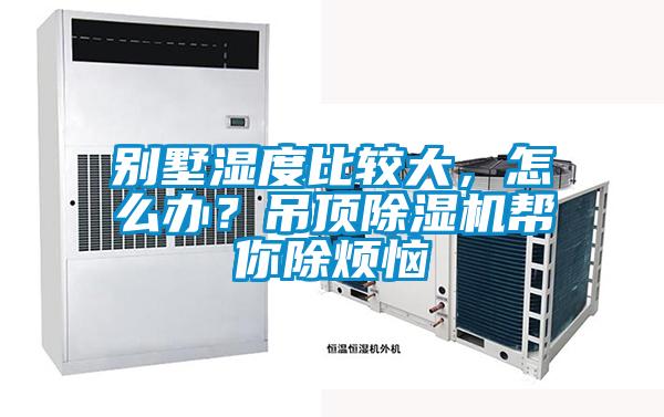 别墅湿度比较大,怎么办?吊顶草莓视频APP在线观看帮你除烦恼