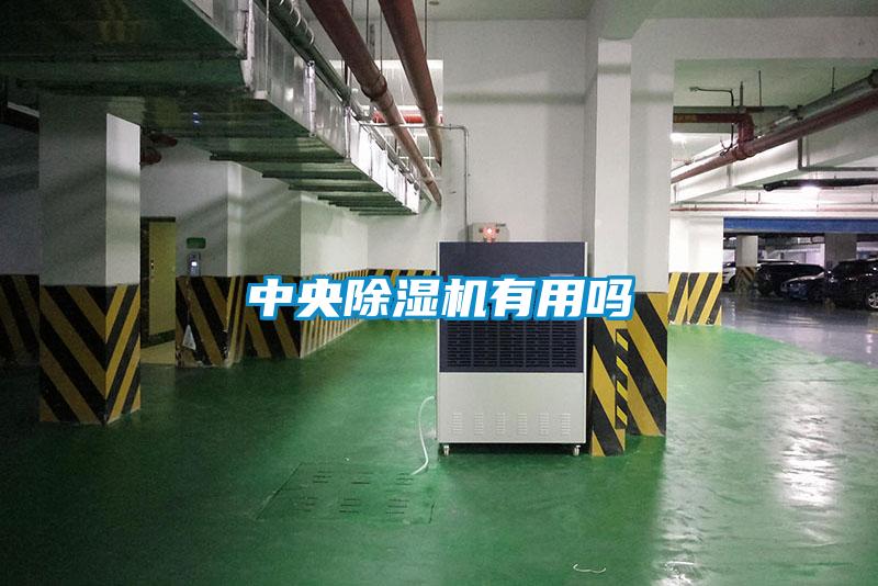 中央草莓视频APP在线观看有用吗