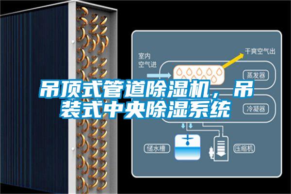 吊顶式管道草莓视频APP在线观看，吊装式中央除湿系统