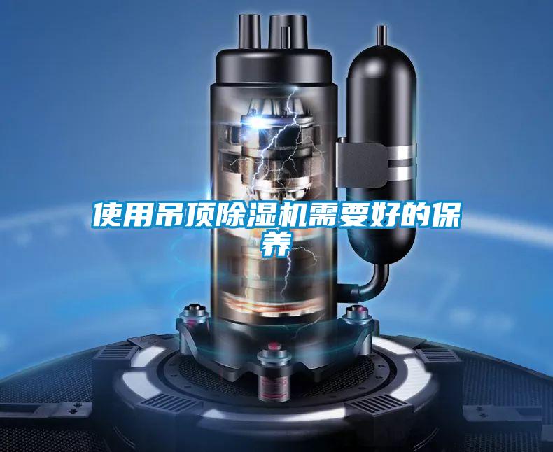 使用吊顶草莓视频APP在线观看需要好的保养