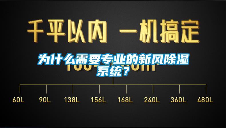 为什么需要专业的新风除湿系统？