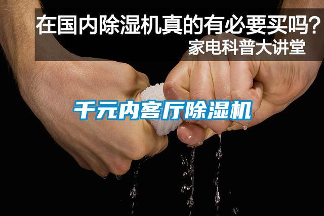 千元内客厅草莓视频APP在线观看