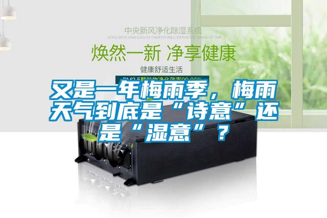 又是一年梅雨季，梅雨天气到底是“诗意”还是“湿意”？