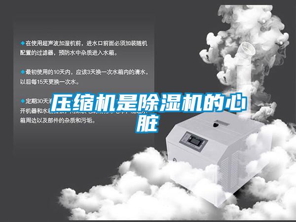 压缩机是草莓视频APP在线观看的心脏