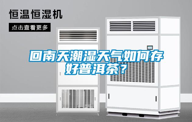 回南天潮湿天气如何存好普洱茶？