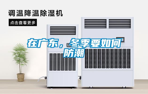 在广东，冬季要如何防潮