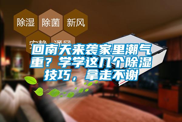 回南天来袭家里潮气重？学学这几个除湿技巧，拿走不谢