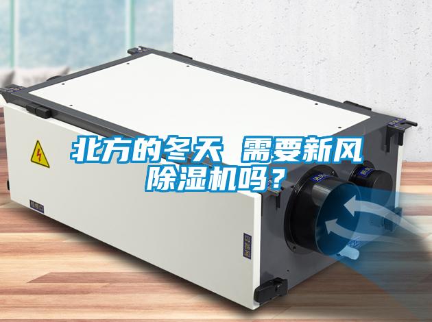 北方的冬天 需要新风草莓视频APP在线观看吗？