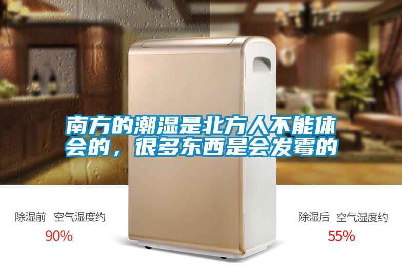南方的潮湿是北方人不能体会的，很多东西是会发霉的