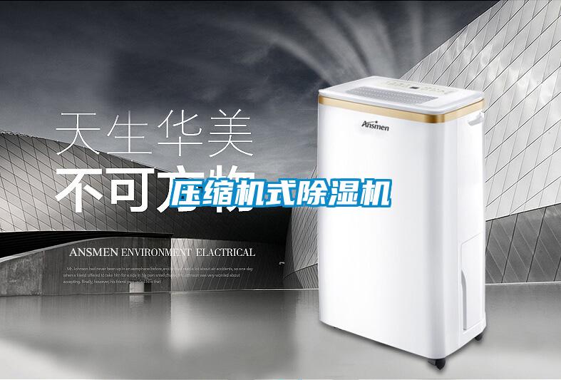 压缩机式草莓视频APP在线观看