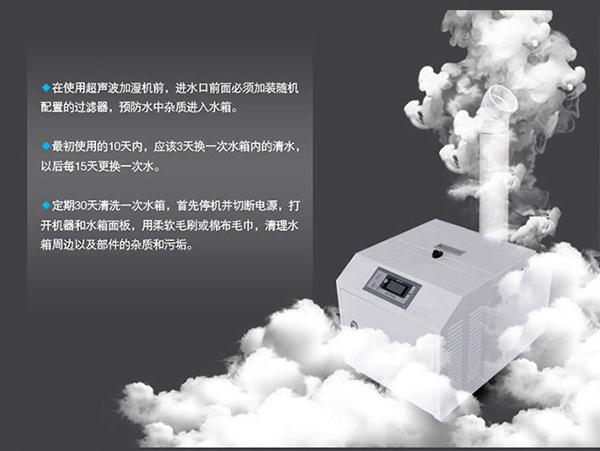 卧式升温型草莓视频APP在线观看，烘干房升温排湿不占地