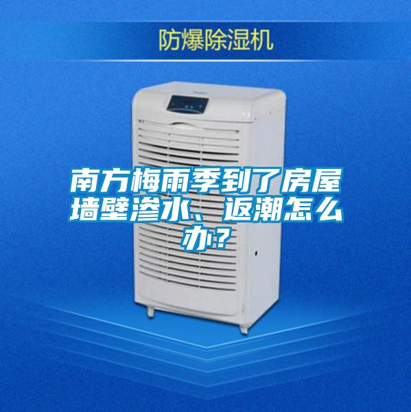 南方梅雨季到了房屋墙壁渗水、返潮怎么办？