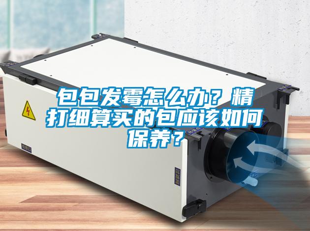 包包发霉怎么办？精打细算买的包应该如何保养？