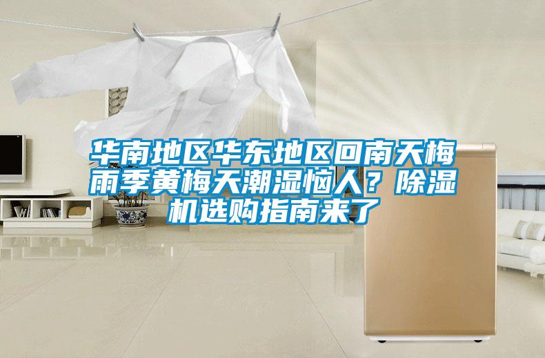 华南地区华东地区回南天梅雨季黄梅天潮湿恼人？草莓视频APP在线观看选购指南来了