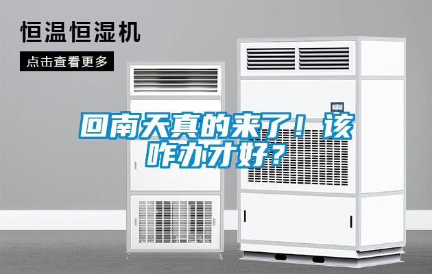 回南天真的来了！该咋办才好？