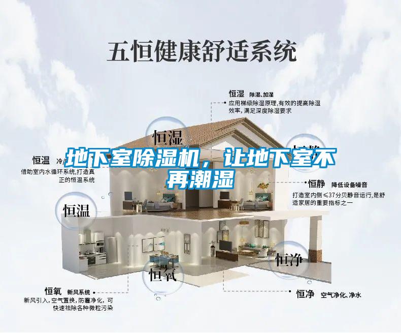 地下室草莓视频APP在线观看，让地下室不再潮湿