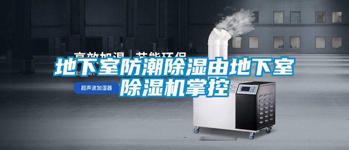 地下室防潮除湿由地下室草莓视频APP在线观看掌控