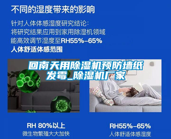 回南天用草莓视频APP在线观看预防墙纸发霉_草莓视频APP在线观看厂家