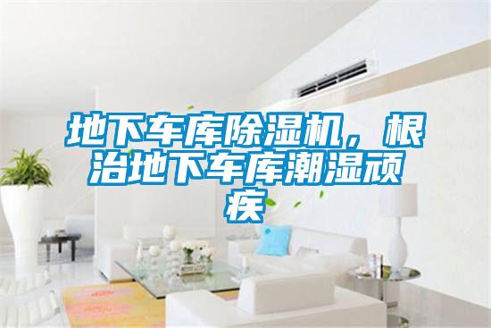 地下车库草莓视频APP在线观看，根治地下车库潮湿顽疾