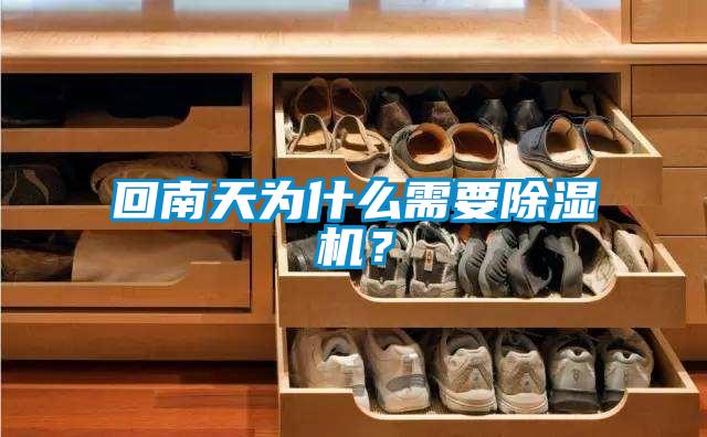 回南天为什么需要草莓视频APP在线观看？