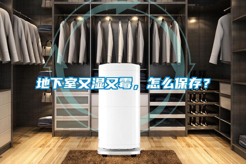 地下室又湿又霉，怎么保存？