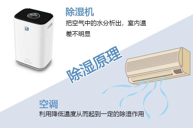 大棚草莓视频APP在线观看