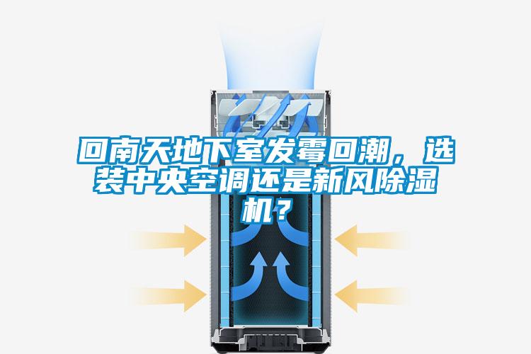 回南天地下室发霉回潮，选装中央空调还是新风草莓视频APP在线观看？