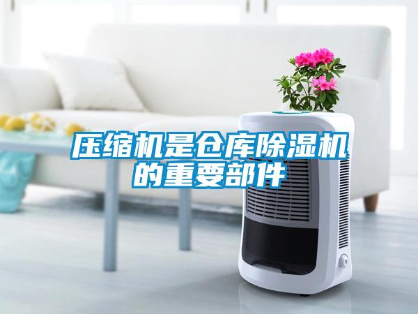 压缩机是仓库草莓视频APP在线观看的重要部件