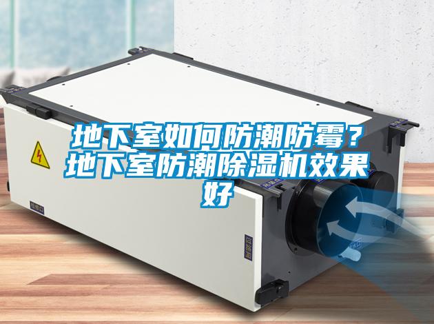 地下室如何防潮防霉？地下室防潮草莓视频APP在线观看效果好