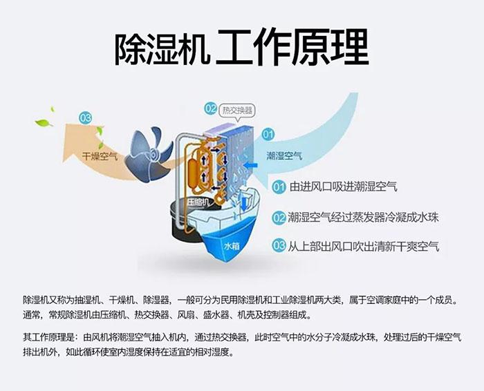 草莓视频污污版草莓视频APP在线观看厂家