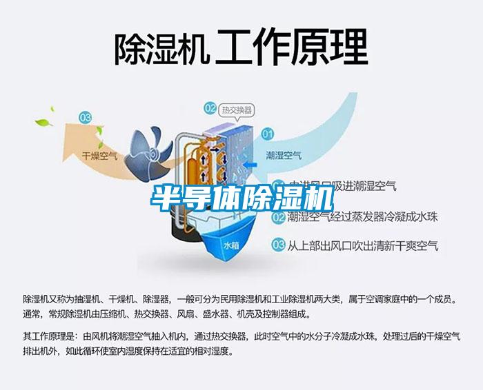 半导体草莓视频APP在线观看