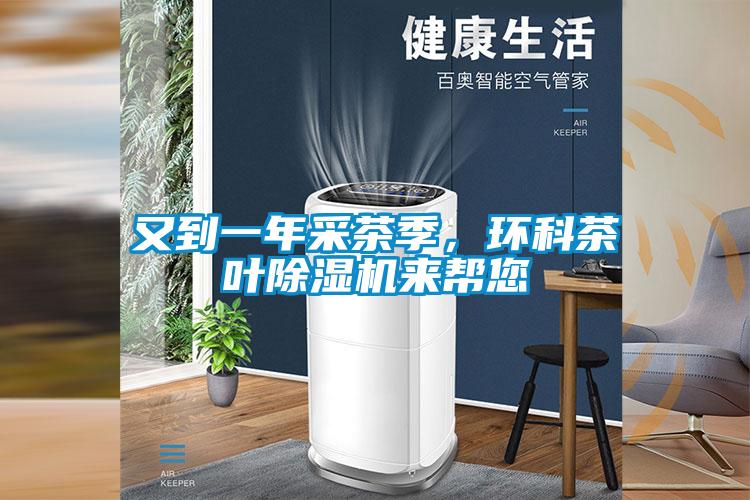 又到一年采茶季，环科茶叶草莓视频APP在线观看来帮您
