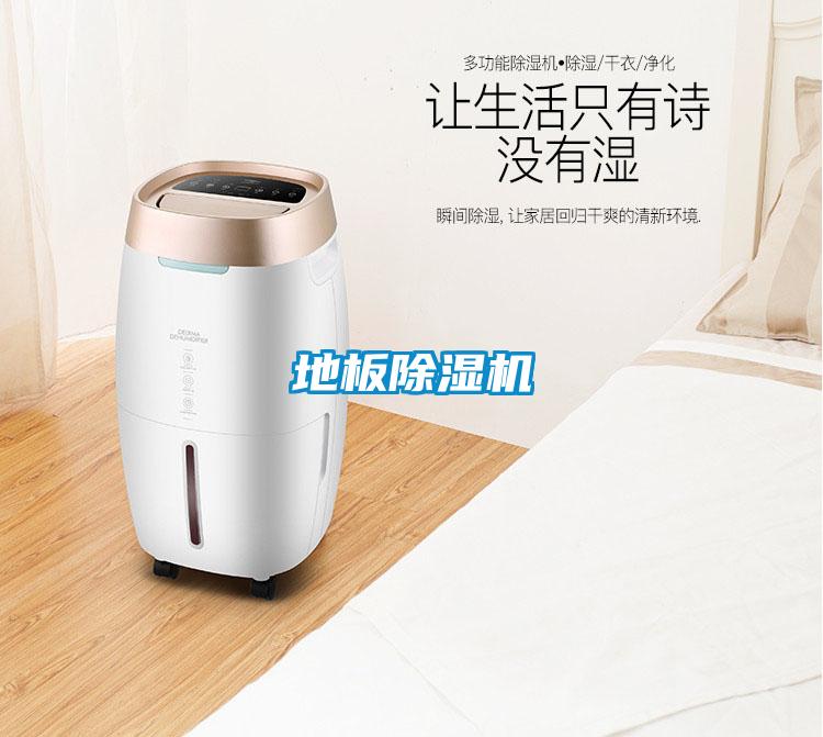 地板草莓视频APP在线观看