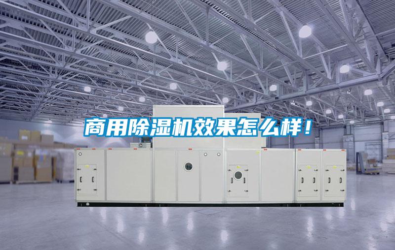 商用草莓视频APP在线观看效果怎么样！