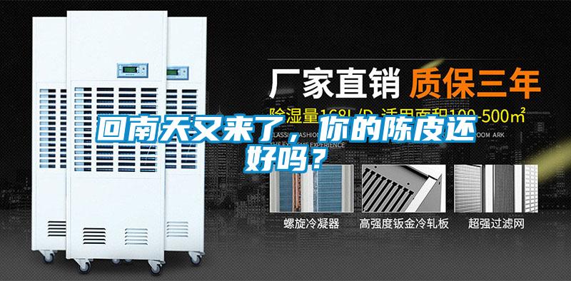 回南天又来了，你的陈皮还好吗？